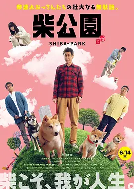 完结完整版观看