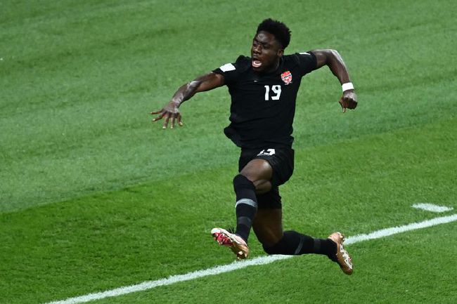 手机免费播放