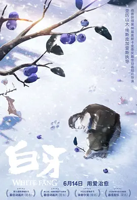 BD国语全集免费观看