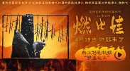 清晰在线播放观看