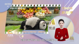 免费高清在线观看